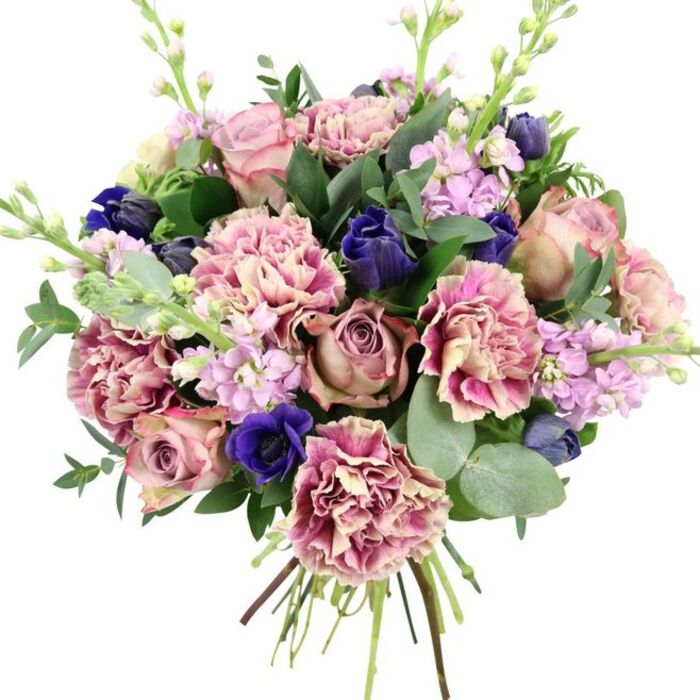 This image shows an elegant, hand-tied bouquet resting against a clean white background, every detail of the flowers and foliage clearly defined. At the heart of the arrangement lie several garden roses, fully open yet still holding their graceful spiral centres. Their colours range from soft, powdery blush pink to more complex dusty mauve and antique rose, evoking a sense of romance and gentle nostalgia. Surrounding these roses, abundant ruffled carnations provide volume and texture; their layered petals show a fine gradation of colour from creamy beige and pale pink at the core to deeper rose, fuchsia, and plum at the delicately frilled edges, adding depth and interest. Punctuating the softer tones, deep indigo and royal blue flowers emerge, some in smooth, bud-like forms that resemble tulips, others more open and velvety. A prominent royal blue anemone with a dark, almost black centre stands near the lower front of the bouquet, serving as a striking focal point. Slender stems of pale lavender and lilac stock thread upward through the composition, their clusters of small blossoms contributing vertical movement and a light, airy texture. The blooms are surrounded by a mix of lush green foliage: silvery, rounded eucalyptus leaves intersperse with darker, glossier greens, providing structure and a fresh, aromatic impression. The stems are gathered and visible at the base, aligned in a neat spiral that reveals the hand-tied craftsmanship often seen from experienced Somers Town florists. This bouquet's harmonious combination of romantic pinks, tranquil purples, and dramatic blues makes it ideal for anniversaries, special birthdays, or thoughtful gestures delivered to apartments and offices around Somers Town, from Ossulston Street to the quiet corners near Regent's Canal.